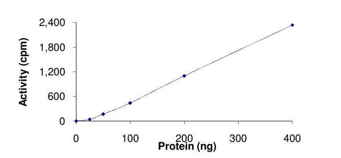 Recombinant human KAT7 / Hbo1 / MYST2 protein (Active)