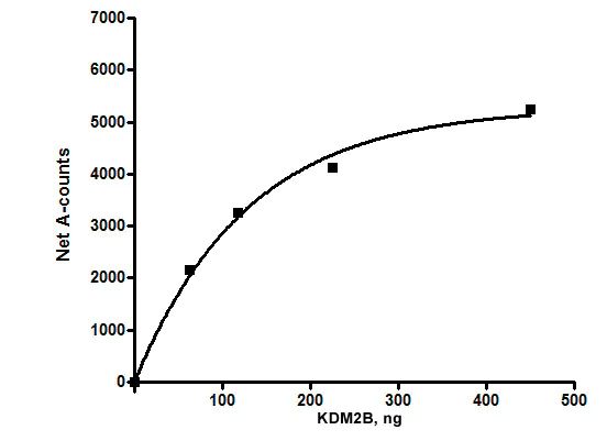 Functional Studies - Recombinant human KDM2B protein (AB196435)
