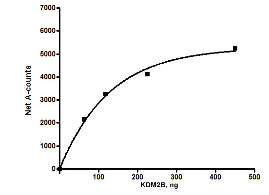 Functional Studies - Recombinant human KDM2B protein (DDDDK tag C-Terminus) (AB196435)
