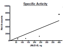 Recombinant human KDM3B / JMJD1B protein (Active)