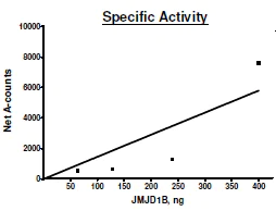 Functional Studies - Recombinant human KDM3B / JMJD1B protein (Active) (AB271569)