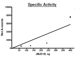 Functional Studies - Recombinant human KDM3B / JMJD1B protein (Active) (DDDDK tag N-Terminus + Avi tag N-Terminus) (AB271569)