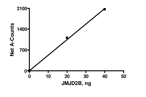 Functional Studies - Recombinant human KDM4B / JMJD2B protein (AB198149)
