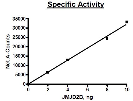 Functional Studies - Recombinant human KDM4B / JMJD2B protein (AB198159)