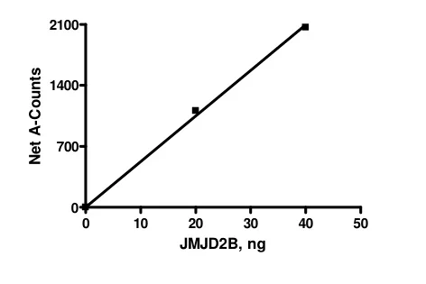 Functional Studies - Recombinant human KDM4B / JMJD2B protein (DDDDK tag C-Terminus) (AB198149)