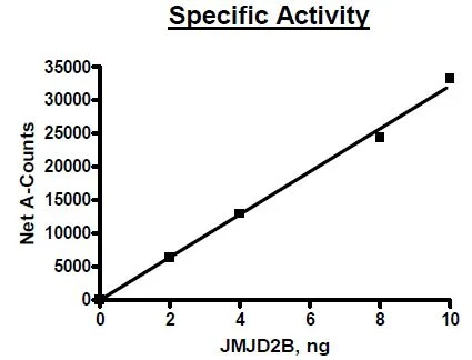 Functional Studies - Recombinant human KDM4B / JMJD2B protein (GST tag N-Terminus) (AB198159)