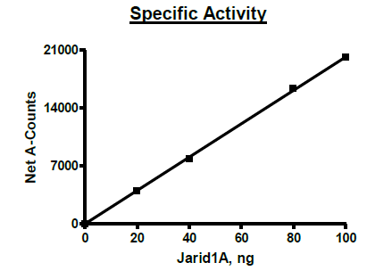 Functional Studies - Recombinant human KDM5A / Jarid1A / RBBP2 protein (Active) (His N-Term + Avi N-Term + DDDDK C-Term) (AB271566)