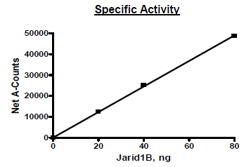 Functional Studies - Recombinant human KDM5B / PLU1 / Jarid1B protein (Active) (AB271567), expandable thumbnail