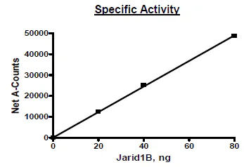 Functional Studies - Recombinant human KDM5B / PLU1 / Jarid1B protein (Active) (AB271567)