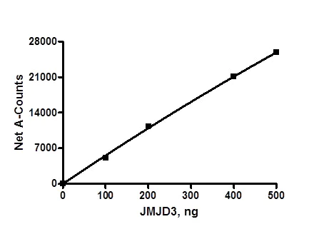 Functional Studies - Recombinant human KDM6B / JMJD3 protein (AB196420)