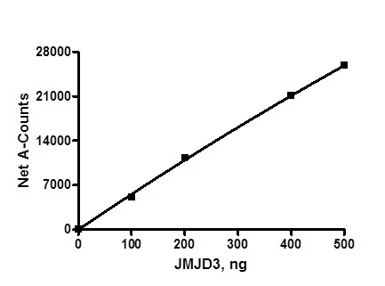 Functional Studies - Recombinant human KDM6B / JMJD3 protein (DDDDK tag C-Terminus) (AB196420)