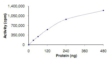 Functional Studies - Recombinant human KDS protein (AB125551)