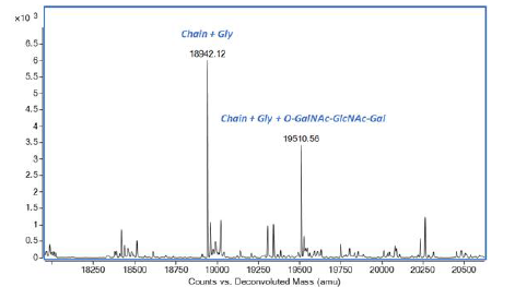 Mass Spectrometry - Recombinant human KGF/FGF-7 protein (Active) (AB283451), expandable thumbnail