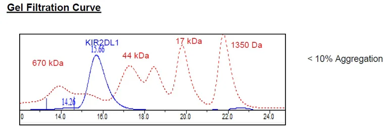 Size Exclusion Chromatography - Recombinant Human KIR2DL1 protein (Fc tag C-Terminus + Avi tag C-Terminus) (AB271573)