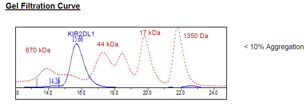 Size Exclusion Chromatography - Recombinant Human KIR2DL1 protein (Tagged) (AB271573), expandable thumbnail