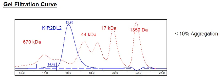Size Exclusion Chromatography - Recombinant Human KIR2DL2 protein (Fc tag C-Terminus + Avi tag C-Terminus) (AB271575)