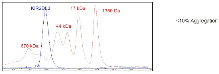 Size Exclusion Chromatography - Recombinant Human KIR2DL3 protein (Fc tag C-Terminus + Avi tag C-Terminus) (AB271576)