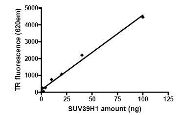 Functional Studies - Recombinant human KMT1A / SUV39H1 protein (AB80289)