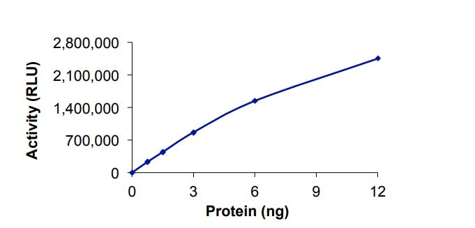 Recombinant human KMT1B / SUV39H2 protein (Active)
