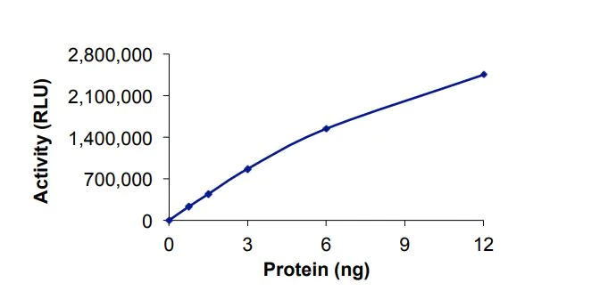 Functional Studies - Recombinant human KMT1B / SUV39H2 protein (Active) (AB268986)