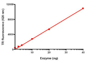 Functional Studies - Recombinant human KMT1B / SUV39H2 protein (GST tag N-Terminus) (AB80288)