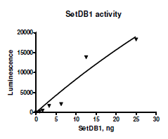 Functional Studies - Recombinant human KMT1E / SETDB1 protein (Active) (AB271738)