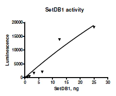 Functional Studies - Recombinant human KMT1E / SETDB1 protein (Active) (AB271738)