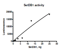 Functional Studies - Recombinant human KMT1E / SETDB1 protein (Active) (His tag N-Terminus + GST tag N-Terminus) (AB271738)