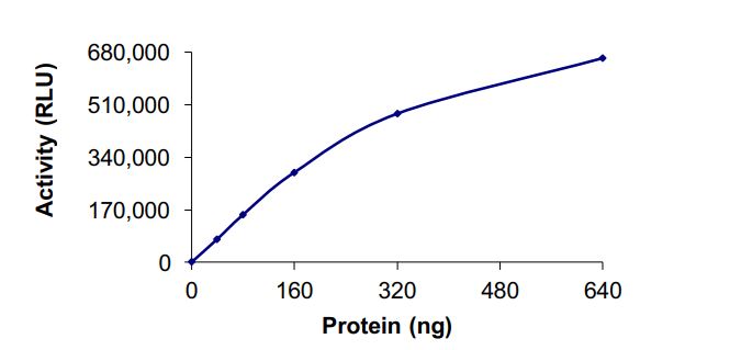 Functional Studies - Recombinant human KMT2A / MLL protein (Active) (AB268799)