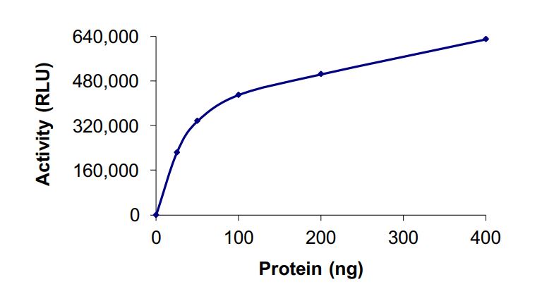 Recombinant human KMT2D / MLL2 protein (Active)