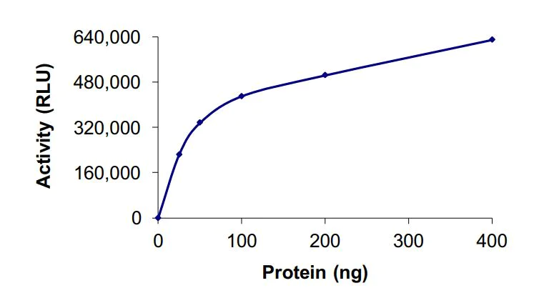 Functional Studies - Recombinant human KMT2D / MLL2 protein (Active) (AB268800)