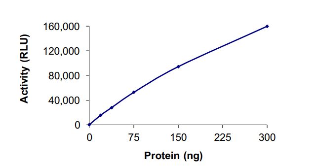 Functional Studies - Recombinant human KMT3A / HYPB / HIF-1 protein (Active) (AB268958)