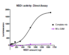 Functional Studies - Recombinant human KMT3B / NSD1 protein (GST tag N-Terminus) (AB196419)