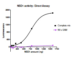 Functional Studies - Recombinant human KMT3B / NSD1 protein (GST tag N-Terminus) (AB196419)