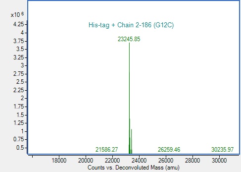 Mass Spectrometry - Recombinant Human KRAS (mutated G12C) Protein (His tag) (AB314426), expandable thumbnail