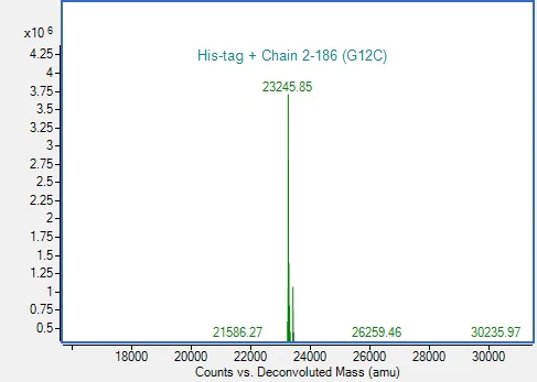 Recombinant Human KRAS (mutated G12C) Protein (His tag) (ab314426