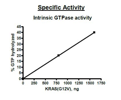 Recombinant human KRAS (mutated G12V) protein (Active)