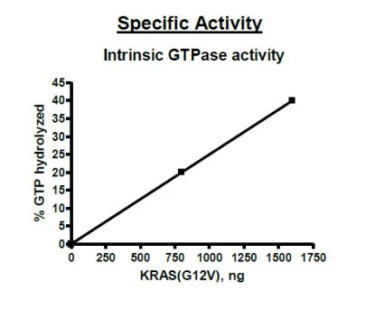 Functional Studies - Recombinant human KRAS (mutated G12V) protein (Active) (His tag N-Terminus) (AB271579)