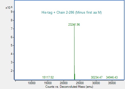 Mass Spectrometry - Recombinant Human KRAS (mutated G12V) Protein (His tag) (AB314698)