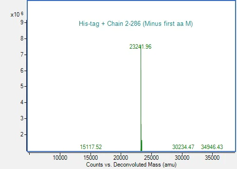 Mass Spectrometry - Recombinant Human KRAS (mutated G12V) Protein (His tag) (AB314698)