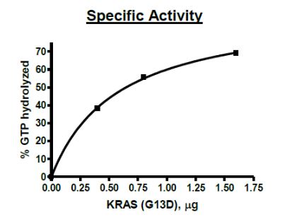 Functional Studies - Recombinant human KRAS (mutated G13D) protein (Active) (AB271580), expandable thumbnail