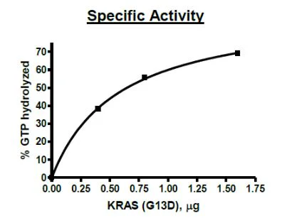 Functional Studies - Recombinant human KRAS (mutated G13D) protein (Active) (His tag N-Terminus) (AB271580)