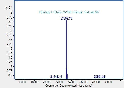 Mass Spectrometry - Recombinant Human KRAS (mutated Q61H) Protein (His-tag) (AB315078)