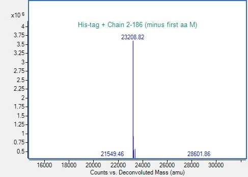 Mass Spectrometry - Recombinant Human KRAS (mutated Q61H) Protein (His-tag) (AB315078)
