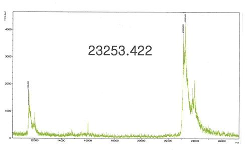 Mass Spectrometry - Recombinant Human KRAS (mutated Q61H) protein (AB96817)