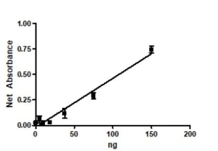 Functional Studies - Recombinant human kynurenine 3-monooxygenase protein (Active) (AB271578)