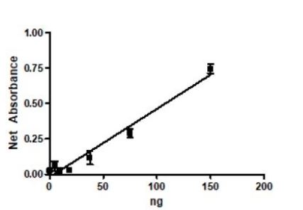Functional Studies - Recombinant human kynurenine 3-monooxygenase protein (Active) (His-DDDDK tag C-Terminus) (AB271578)