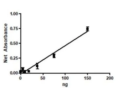 Functional Studies - Recombinant human kynurenine 3-monooxygenase protein (Active) (His-DDDDK tag C-Terminus) (AB271578)