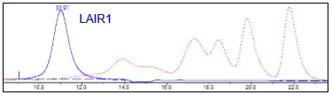 Size Exclusion Chromatography - Recombinant Human LAIR1 protein (Avi tag C-Terminus + His tag C-Terminus) (AB271585)