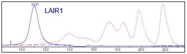Size Exclusion Chromatography - Recombinant Human LAIR1 protein (Tagged) (AB271585), expandable thumbnail